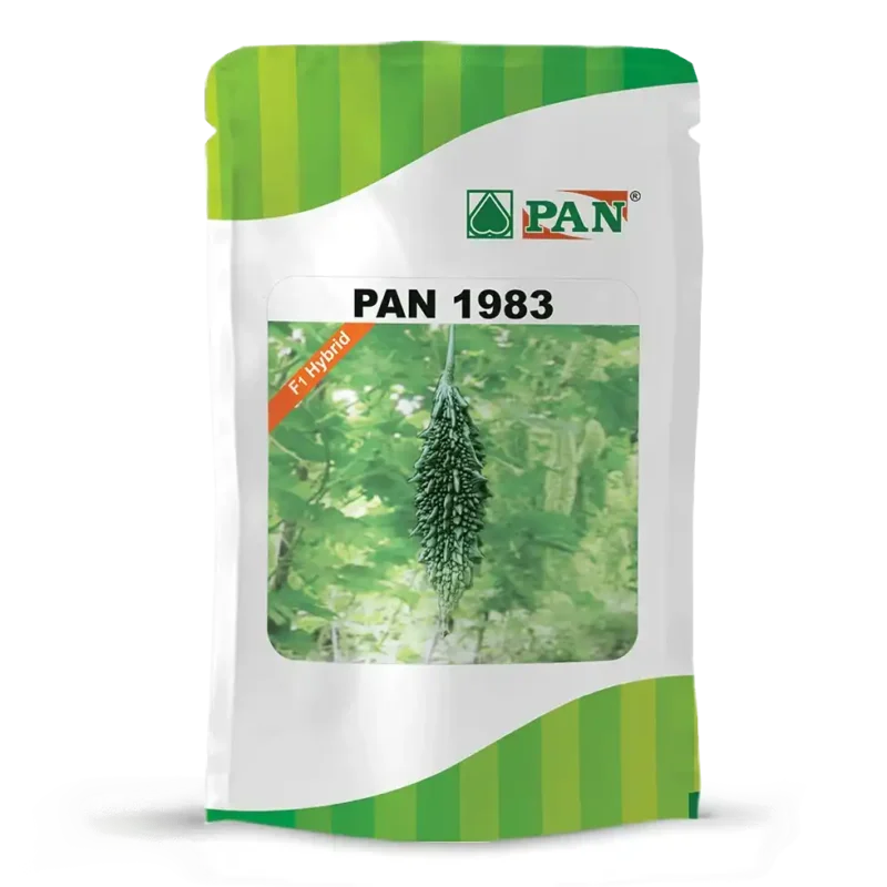 PAN-Bitter-gourd-1983