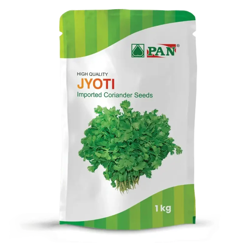 PAN-JYOTI
