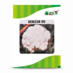 PAN-Kenzan-60