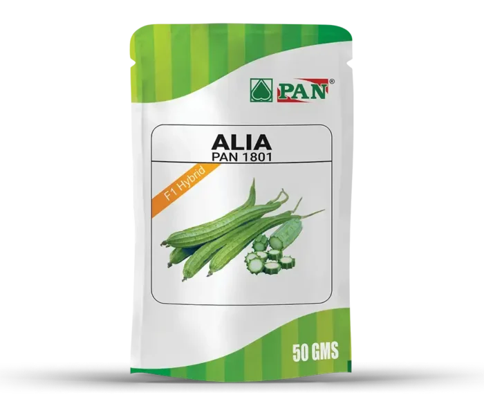 PAN-alia-1801