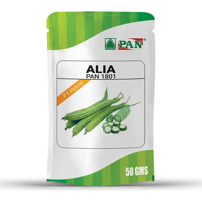 PAN-alia-1801