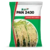 PAN_2430