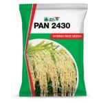 PAN_2430