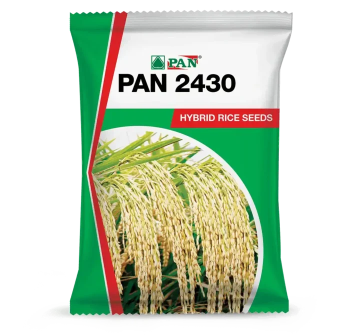 PAN_2430