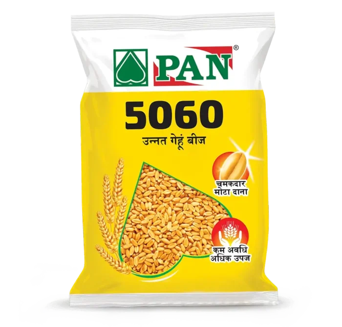 PAN_5060