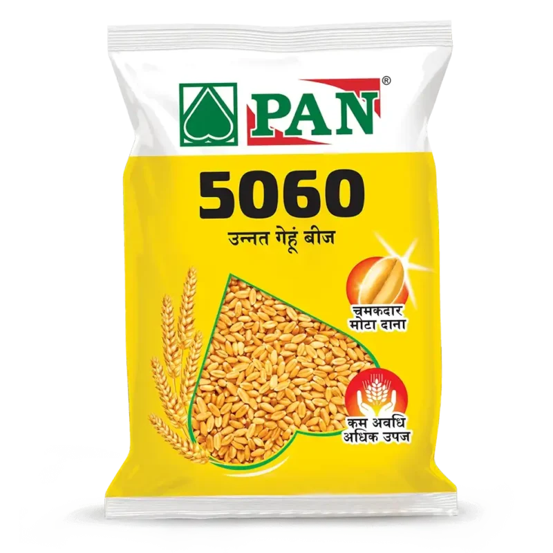 PAN_5060