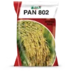 PAN_802