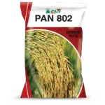 PAN_802