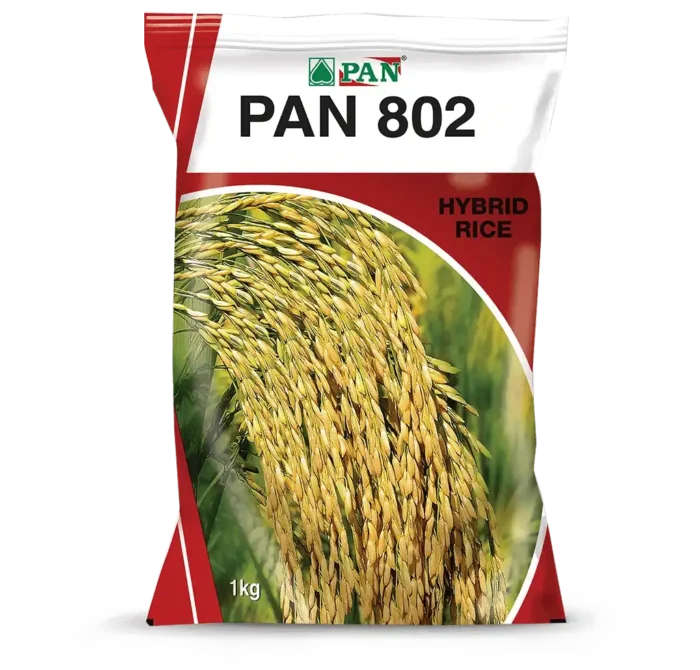 PAN_802