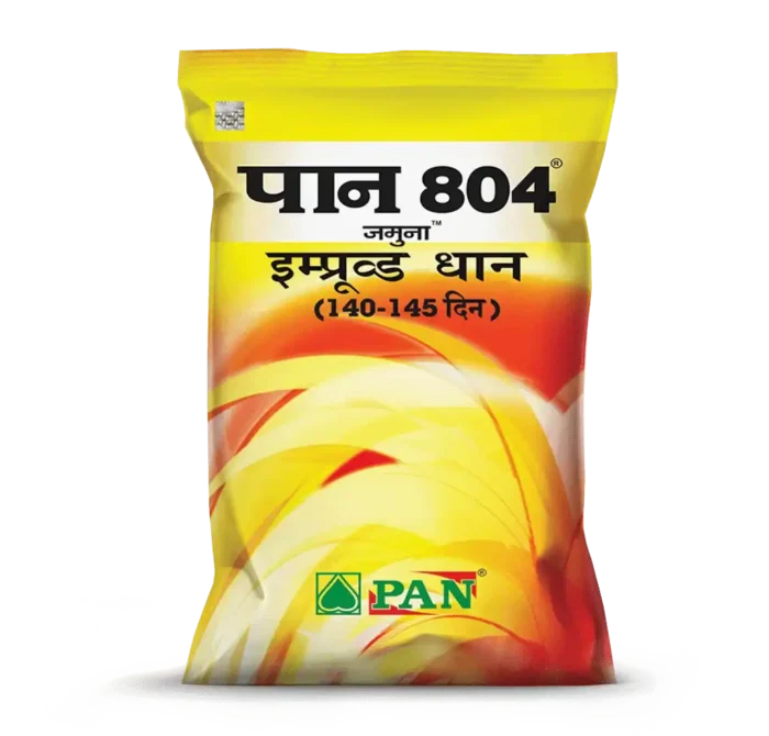 PAN_804
