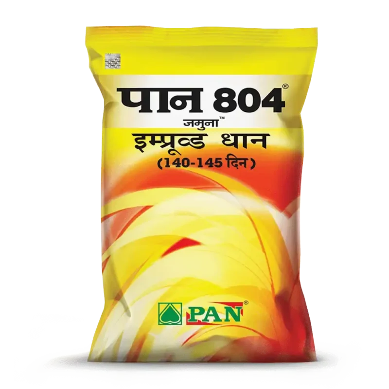 PAN_804