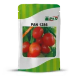 Pan-1286