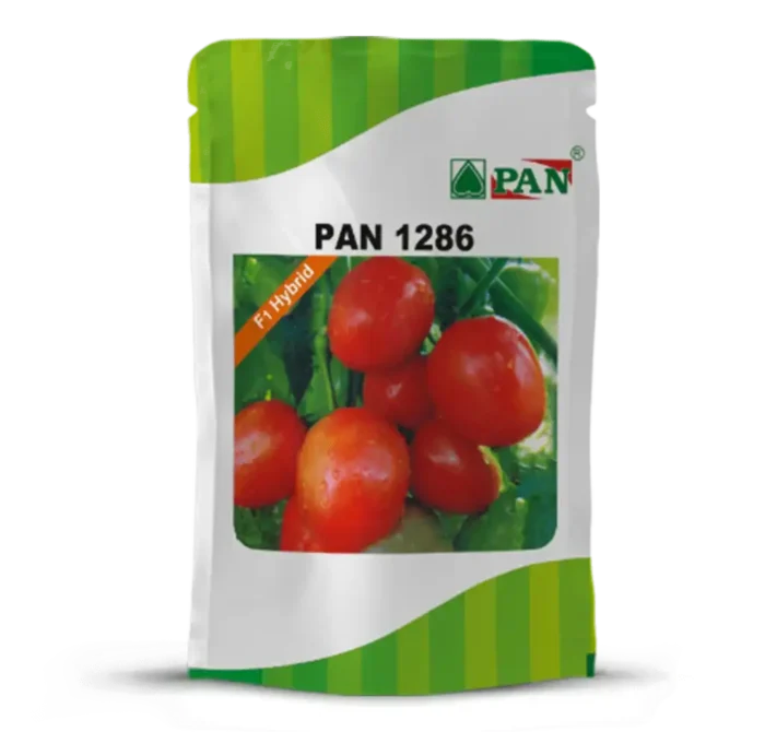 Pan-1286