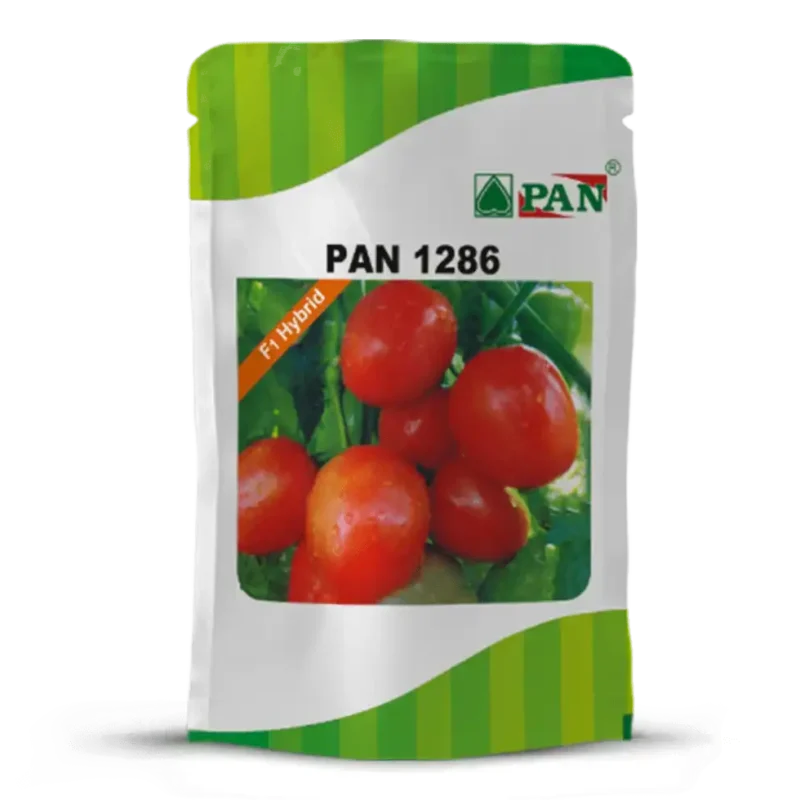 Pan-1286