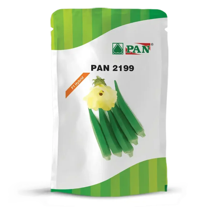 Pan-2199