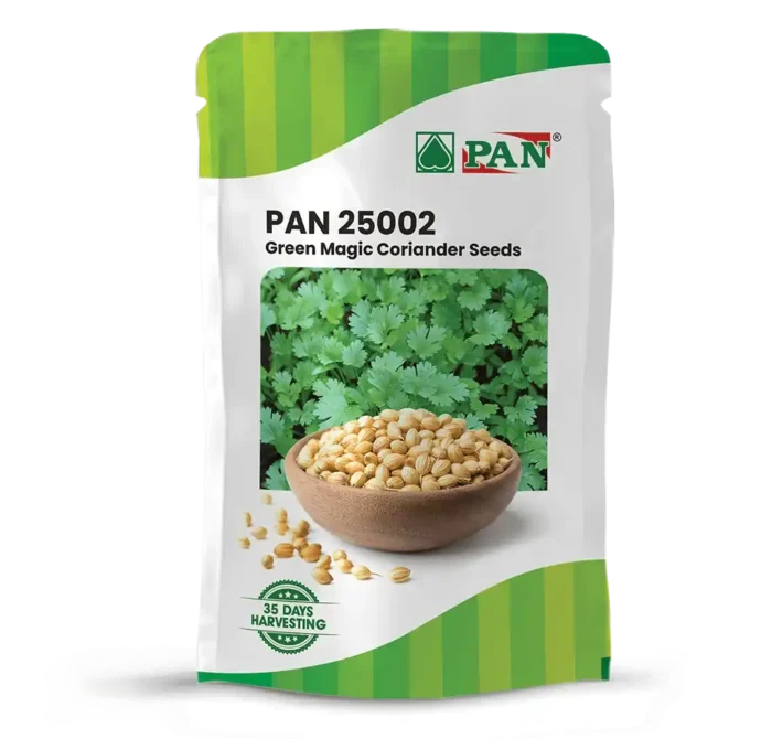 Pan-25002-Green-Magic