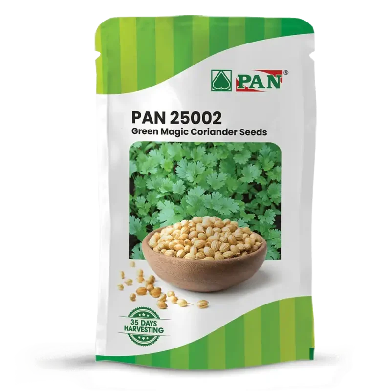 Pan-25002-Green-Magic