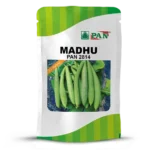 Pan-2814-MADHU