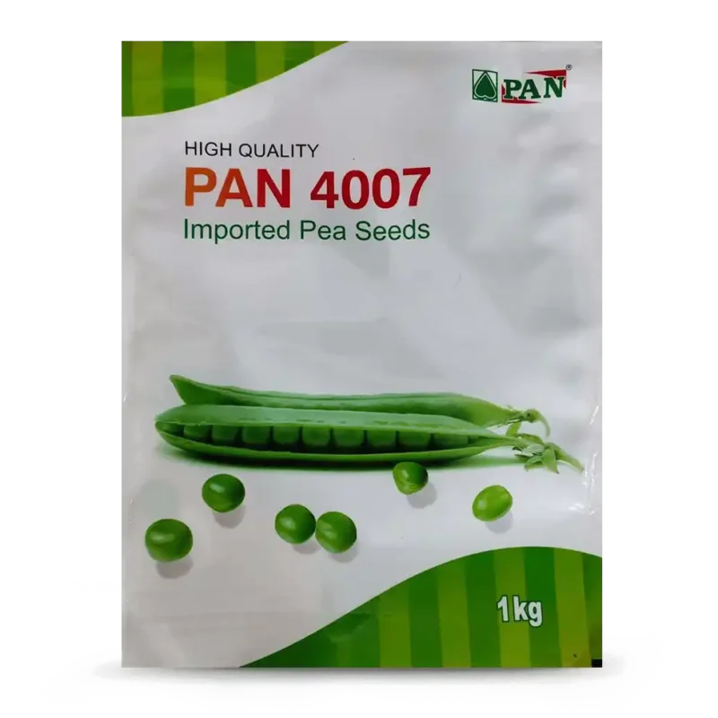 Pan-4007