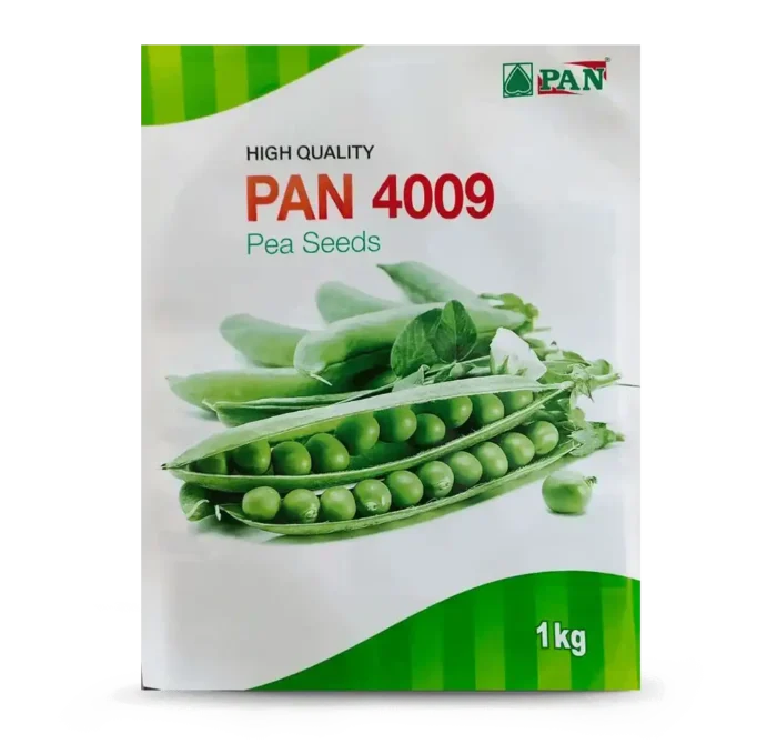 Pan-4009