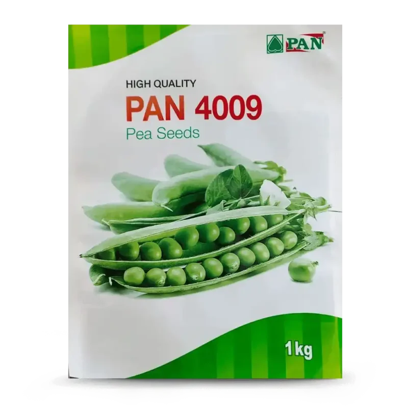 Pan-4009