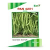 Pan-4201-COWPEA