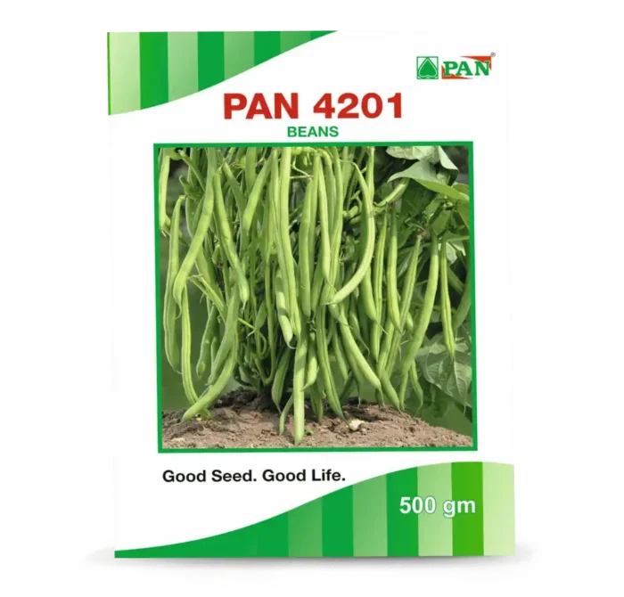 Pan-4201-COWPEA