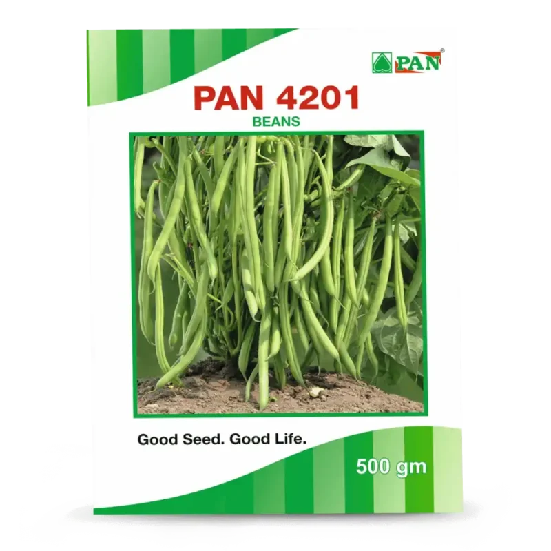 Pan-4201-COWPEA