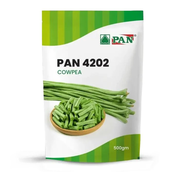 Pan-4202