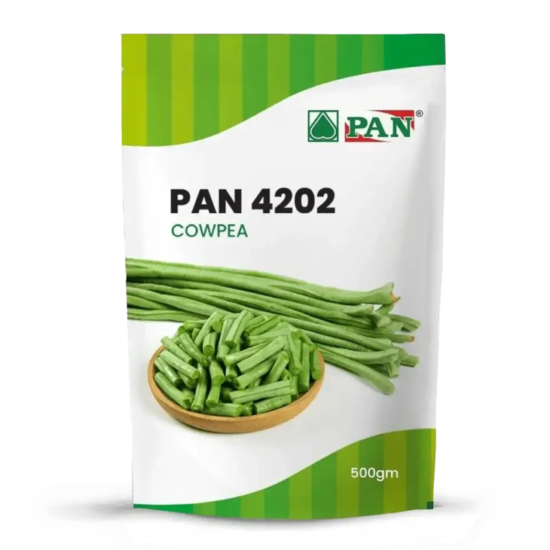 Pan-4202
