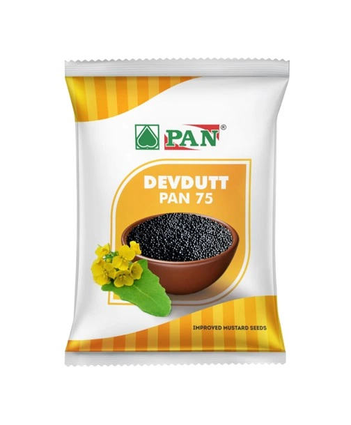 Pan-75-Devdutt