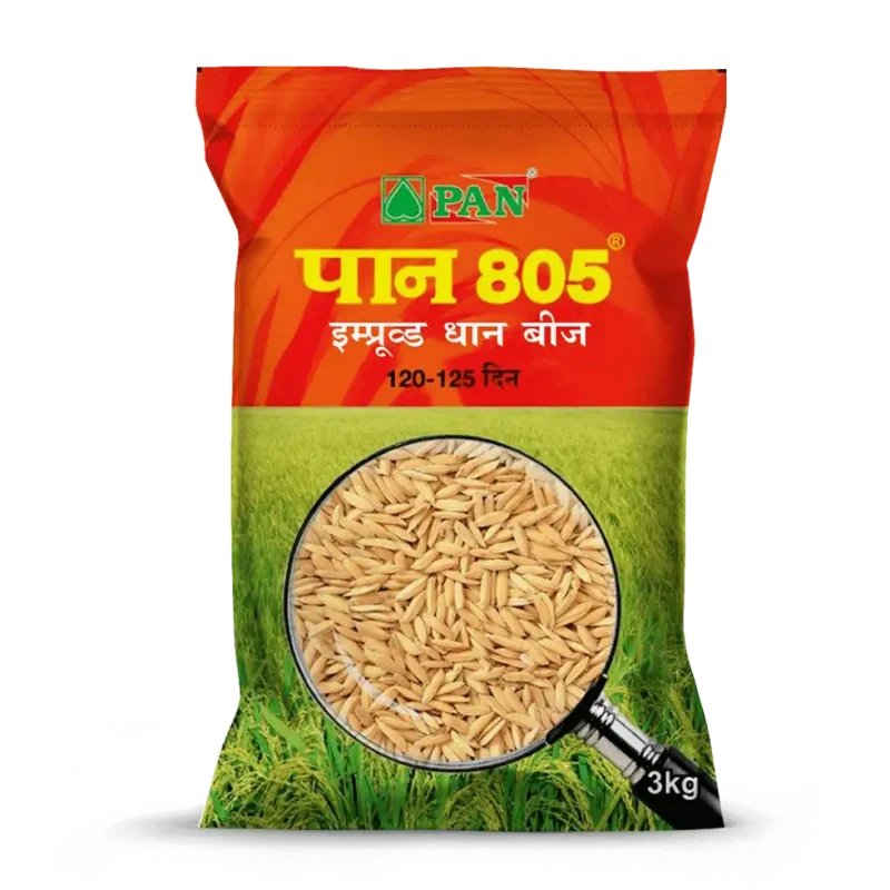 Pan-805
