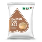 Pan-842-Balwan