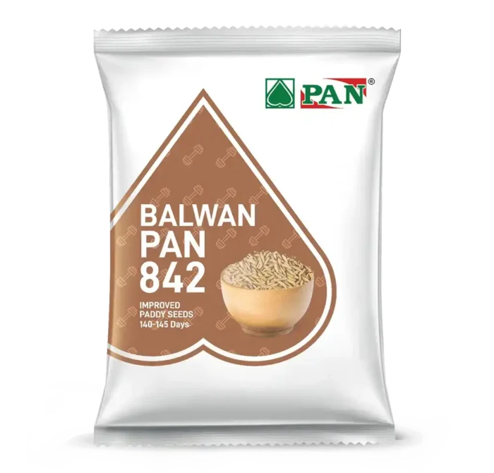 Pan-842-Balwan