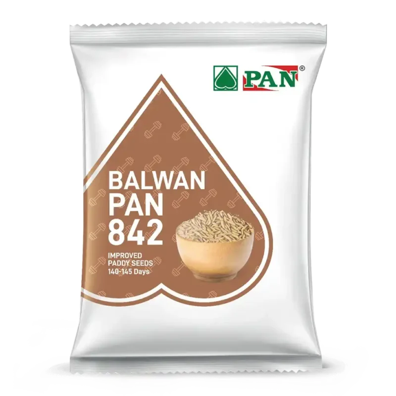 Pan-842-Balwan