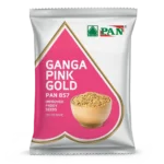 Pan-857-Ganga-Pink-Gold