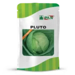 Pan-Pluto
