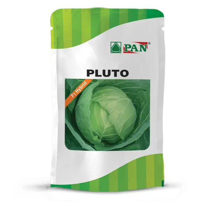 Pan-Pluto