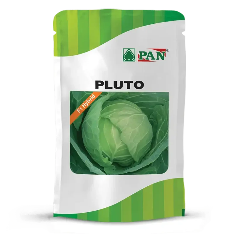 Pan-Pluto