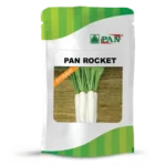 Pan-Rocket
