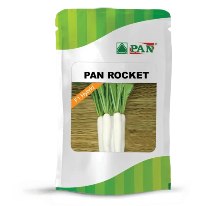 Pan-Rocket