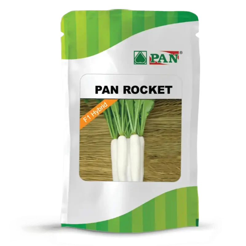Pan-Rocket