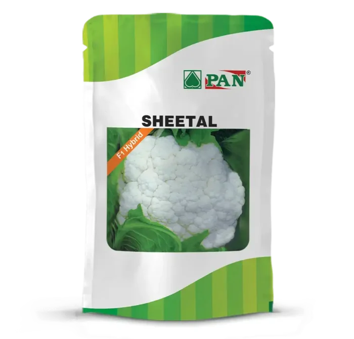 Pan-sheetal