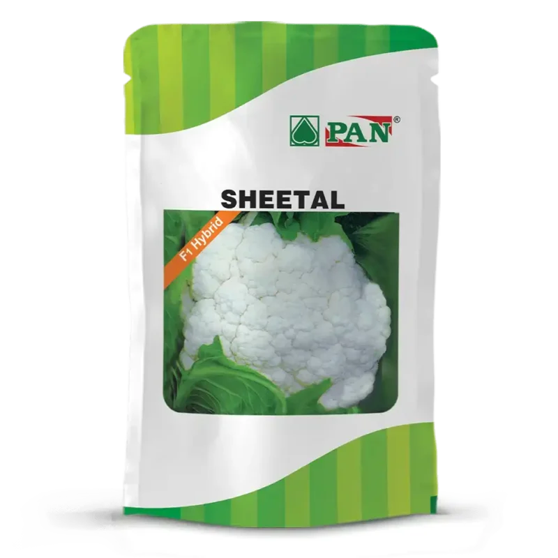 Pan-sheetal