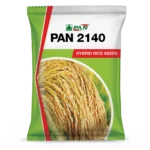 Pan_2140