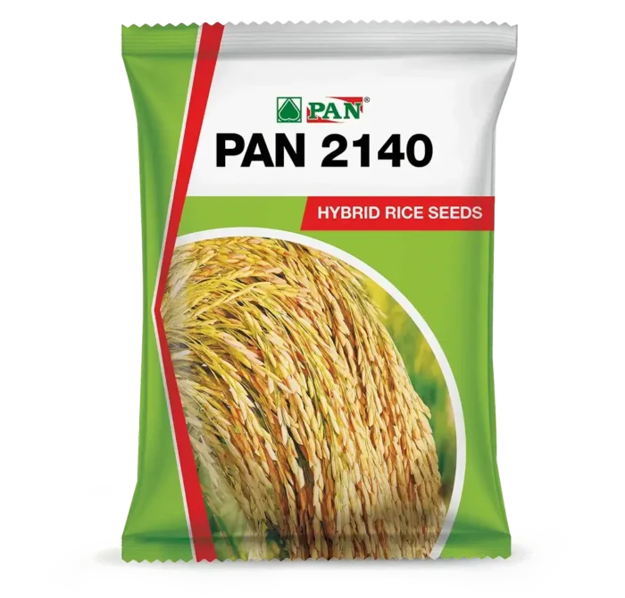Pan_2140