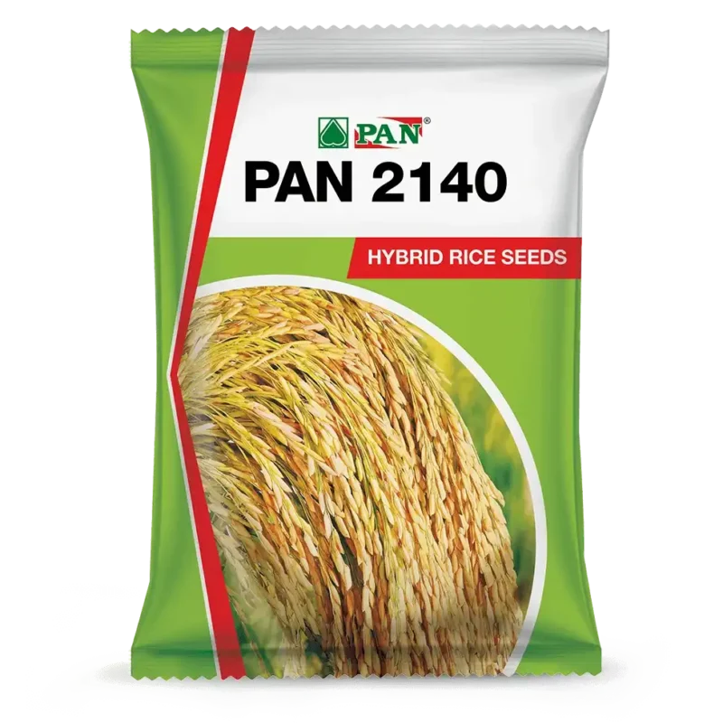 Pan_2140
