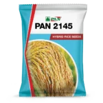 Pan_2145