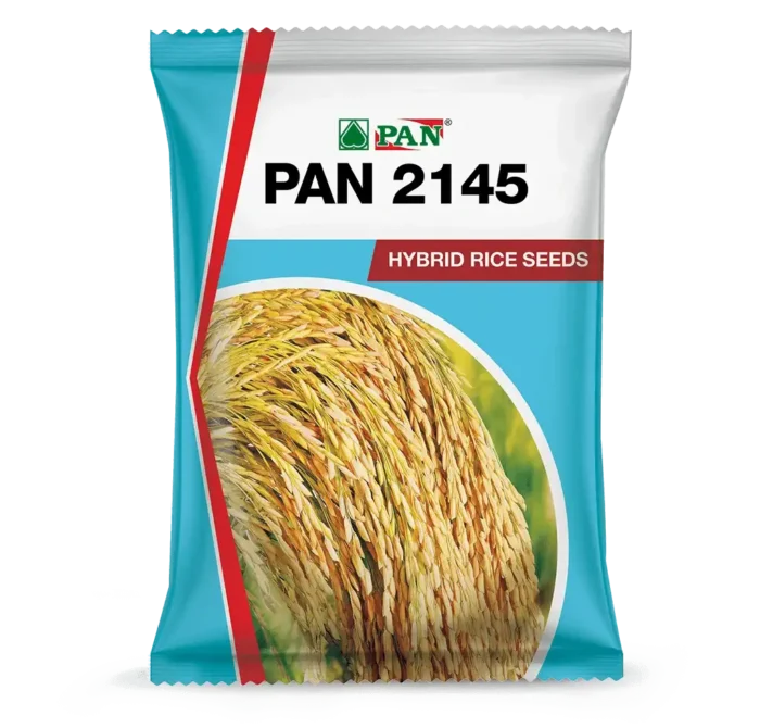 Pan_2145
