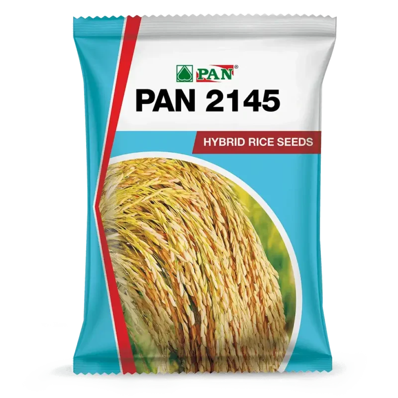 Pan_2145